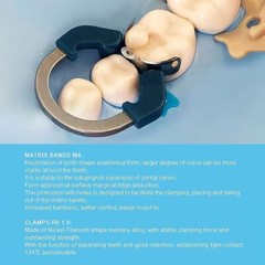 Dental Matrix Bands Ring Sectional Matrice Clamp Fit Garrison Palodent V3 System