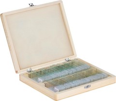 44412 Prepared Microscope Slides, Pack of 100