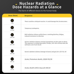 Geiger Counter Radiation Detector Nuclear Radiation Monitor X Gamma Beta Meter