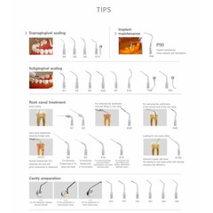 Woodpecker Dental Ultrasonic Piezo Scaler OOEM with UDS-P LED Light Handpiece