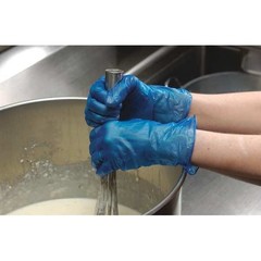 Zoro Select 516983 Disposable Gloves, 5 Mil Palm, Vinyl, Powder-Free, L (9),,