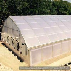 Clear Multiwall Polycarbonate Sheet Thermoclear 48 In. X 96 In. X 1/4 In. (6Mm)