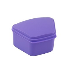 Dental Denture box case carrier assorted color Top Quality Money back guarantee