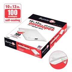 Park Survivor R1580 Tyvek Mailer, 10 x 13, White (Box of 100)