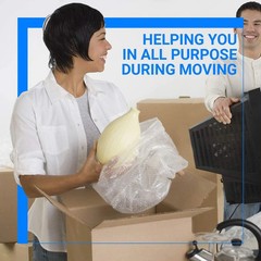 Pacific Mailer Bubble Cushioning Wrap Rolls, 3/16″ x 12″ x 15′ ft Total, Perfora