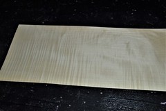Curly Maple Raw Wood Veneer Sheet 8.5 x 21 inches 1/42nd 4665-91