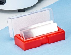 Globe Scientific 1419-10 Cover Glass, 24 x 60mm, No. 1 Thickness (Case of 10)