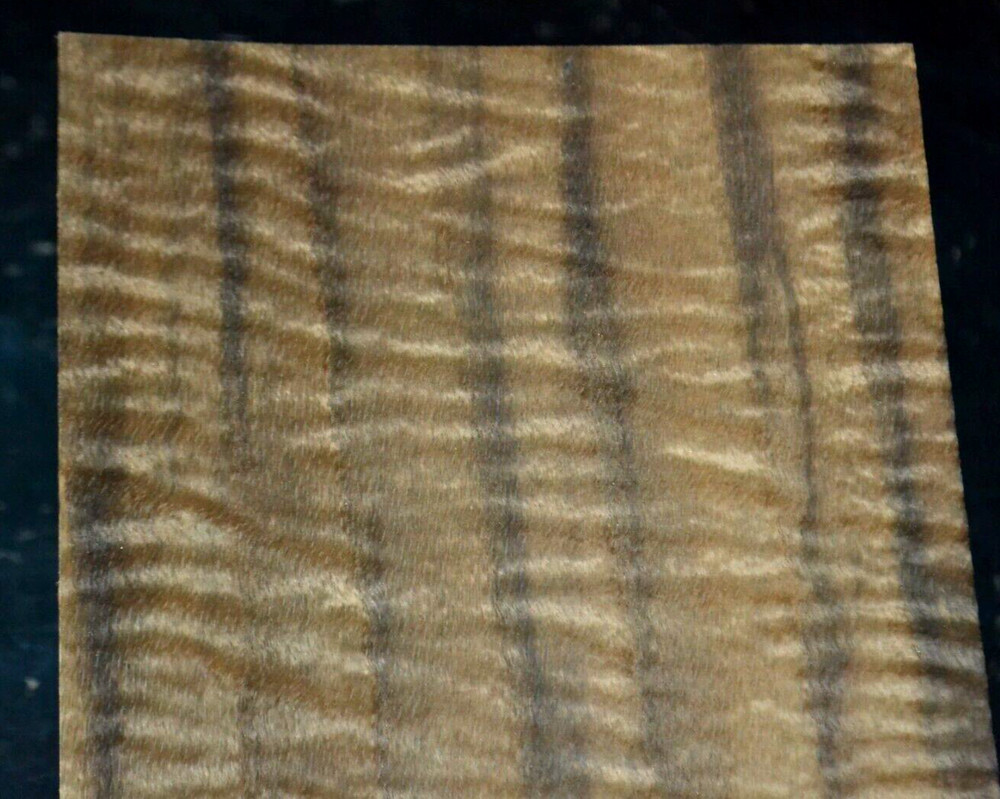 Fumed Curly Beech Raw Wood Veneer Sheet 6.5 x 31 inches 1/42nd thick N5942-95