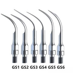 30Model Dental Ultrasonic Scaler Scaling Endo Perio Tip Fit SIRONA Handpiece