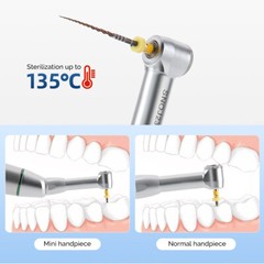 AZDENT Dental Cordless LED 16:1 Endo Motor /Apex Locator /Endo Rotary Files