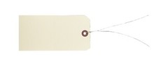 100 pcs 6 1/4″ x 3 1/8″ Size 8 Manila XL Large Tag PreWired Price Tags with Wire