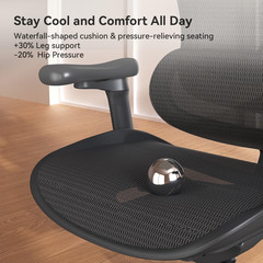 SIHOO Doro C300 Ergonomic Office Chair with Ultra Soft 3D Armrests, Dynamic Lumb