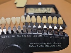 R-20 Bleaching Shade Guide Professional Teeth Whitening Shade Guide