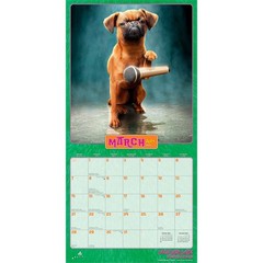 Avanti Dogs Gone Wild OFFICIAL | 2027 12×24″ (Hanging) Square Wall Calendar