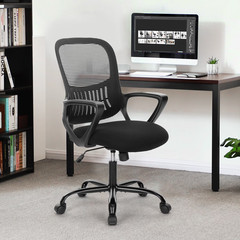 edx Desk Chair with Ergonomic Lumbar Support for Home, Office, Bedroom, 250lbs