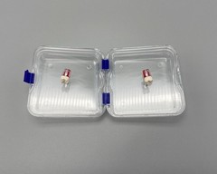 10x Denture False Inlay Teeth Membrane Case Hinged Display Jewelry Box 10x10x4cm