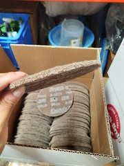10 Pack – 6” x 1/4″ Scotch-Brite Cut & Polish Finishing Disc Medium 1/4” Arbor