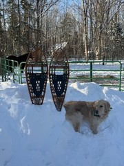 SNOWSHOE BINDINGS, SNOWSHOE HARNESSES, SNOWSHOEING, LIFETIME SNOWSHOE BINDINGS