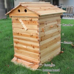 Auto Shed Full Set 7PCS Beehive Honey Hive Frame +Cedarwood Beekeeping Brood Box