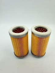 GARDNER DENVER 317957 FILTER, PICO *PACK OF 2*