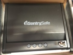 GC123 2 NEW KEYS Sentry Pistol Safe Code:GC123 Handgun Key Models QAP1E & QAP1BE