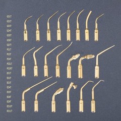 56Type ED PD GD Dental Ultrasonic Scaler Scaling Endo Perio Tip Fit DTE SATELEC