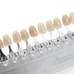 USA Shade Guide Teeth Dental Materials Durable New A1-D4 16 Colors