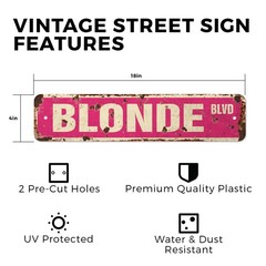 BLONDE BLVD Vintage Style Street Sign Metal Plastic hair blondie stupid blondes