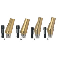Anatomic Titanium Angulated Abutment 17 Degree Angle Regular Ø5.0mm For Hiossen