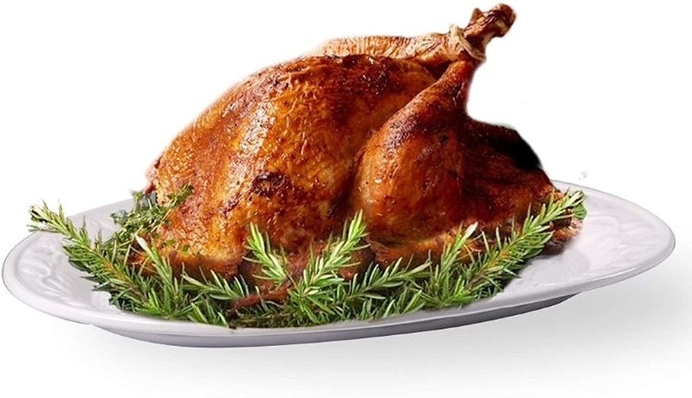 Ovente Ceramic Oval Turkey Platter White P4565W
