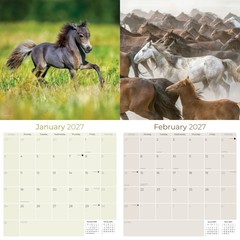 Arabian Horses Calendar 2024 FULL SIZE 12×24 Made in USA