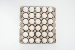 140 New 30 Count Egg Trays Crates Flats Crickets Geckos Lizards MADE IN THE USA