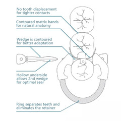 Dental Matrix Bands Ring Sectional Matrice Clamp Fit Palodent V3 Garrison