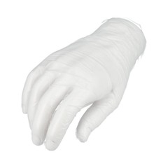 1000 Pcs Latex and Powder Free Vinyl Gloves 3 Mil 2XL, Clear, Disposable