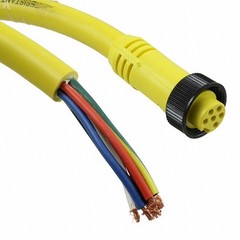 BradConnectivity 1300061583 M12 Cable – 41802 – 16/6 AWG – 6′ – 6P Female — NEW