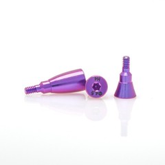 US Dental Healing Abutment Cap Closure Cap Cover Screw for Straumann ITI BLT/BL