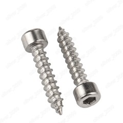M2 M2.6 M3 M4 M5 M6 304 Stainless Steel Hex Socket Cap Head Self tapping Screws