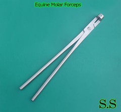Equine Molar Forceps 17.5″ With Serrated Jaw Veterinary Instruments S.S-V0025