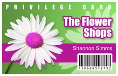 Custom Printed PVC Card Name Badge Printed PVC Plastic Credit Card Sized