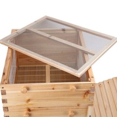 Automatic Bee Hive Boxes beehive + 7x Bee Frames Honey Bee House Beekeeping US