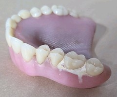 Dentures False Fake Teeth Upper Plate Dentist School Oddity Halloween Prop