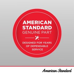 American Standard 10.75 inches x 5.875 x 7.875 inches, Unfinished