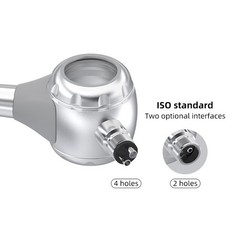 2/4 Holes Dental Air Flow Teeth Polishing Polisher Handpiece Hygiene Prophy Jet
