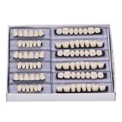 168PC Acrylic Resin Denture #22 Dental Upper Lower Shade A2 Teeth Set 22# A2 US