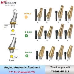 US 17° Angulated & Straight Transfer Abutment Fit Osstem/Hiossen Hex Titanium