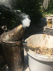 3 POUNDS NATURAL BEEKEEPING SMOKER FUEL/HONEY BEEHIVE SMOKE HARDWOOD ORGANIC