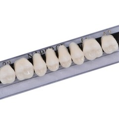 168X Acrylic Resin A1/A2/A3 Dental Denture Teeth Upper Lower Shade 22/23/24# US