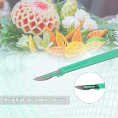 10 Disposable Sterile Surgical Scalpel #24 w/ Cap -Dissection, Podiatry, Carving