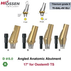 Anatomic Titanium Angulated Abutment 17 Degree Angle Regular Ø5.0mm For Hiossen