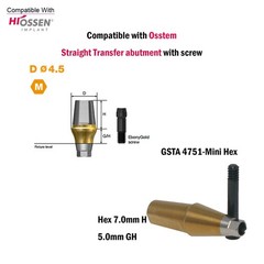 Dental Titanium Straight Abutment Ti Cemented Abutment Fits to Osstem Hiossen TS